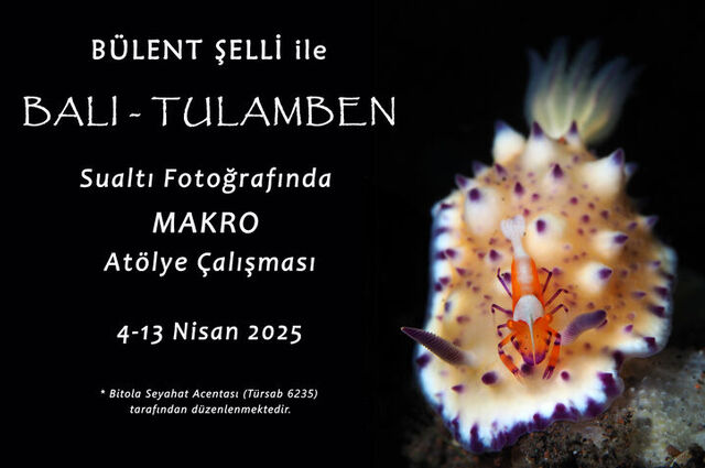 Bülent Şelli ile Bali - Tulamben Sualtı Fotoğrafında Makro Atölye Çalışması