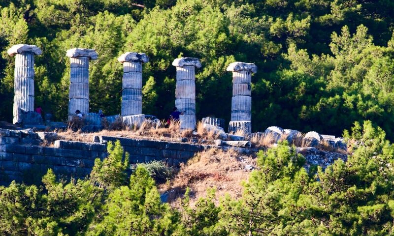 Priene & Miletus & Didyma